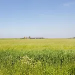 Dijkzicht Near *
