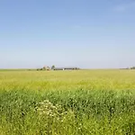 Dijkzicht Near