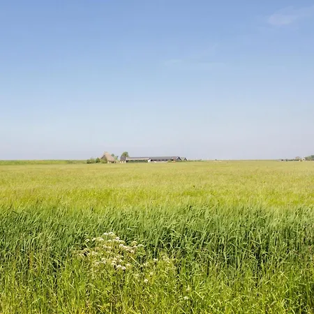 Dijkzicht Near